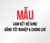 Cam kết bổ sung bằng tốt nghiệp, chứng chỉ tiếng anh, tin học